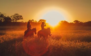 Enjoying Africa with Horse Riding