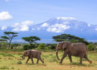 Kilimanjaro National Park