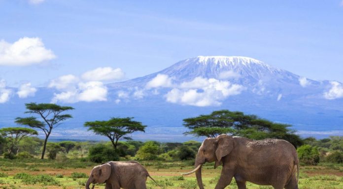 Kilimanjaro National Park