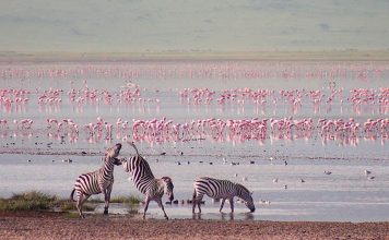 Ngorongoro Crater